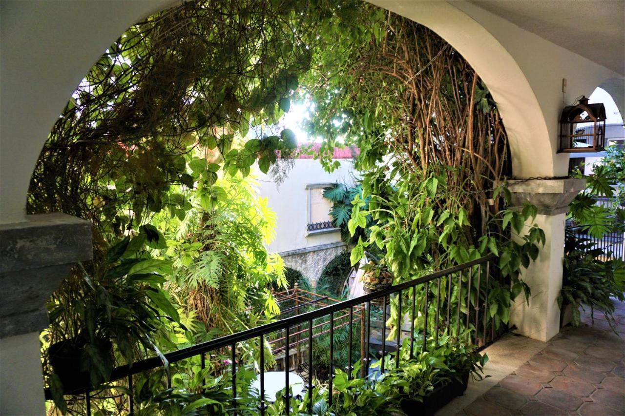 Hotel Boutique Suites Puerto קנקון מראה חיצוני תמונה
